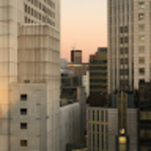 Meet your Posher, Ellie - Picture 1 of 1